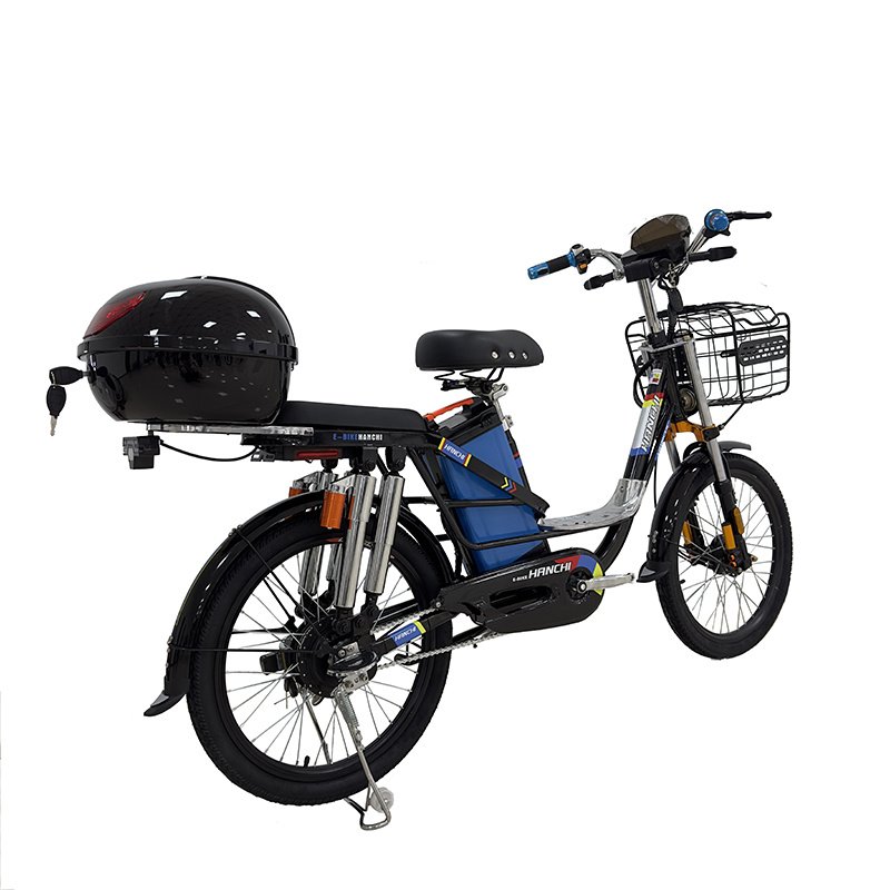 22-Inch City Electric Bike with 48V 350W Brushless Motor Steel Frame 3 Speeds Two Seats-Smart Electronic Cargo Electric Bike