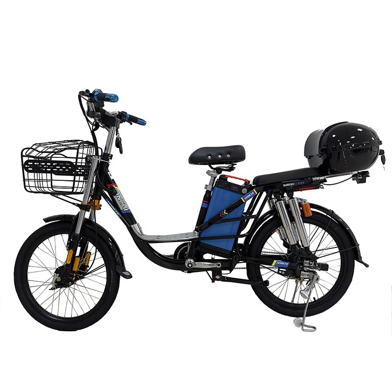 22-Inch City Electric Bike with 48V 350W Brushless Motor Steel Frame 3 Speeds Two Seats-Smart Electronic Cargo Electric Bike