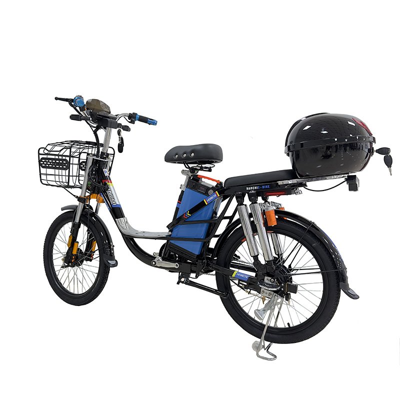 22-Inch City Electric Bike with 48V 350W Brushless Motor Steel Frame 3 Speeds Two Seats-Smart Electronic Cargo Electric Bike
