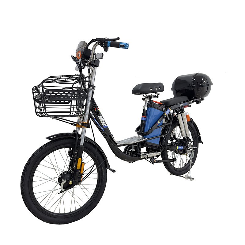 22-Inch City Electric Bike with 48V 350W Brushless Motor Steel Frame 3 Speeds Two Seats-Smart Electronic Cargo Electric Bike