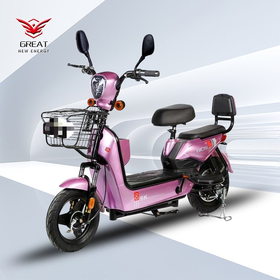 High Quality Electric Bicycle 350w 48v 12ah 14 Inch Recharging Time Best Ebike City Electric Bike For Adults E Bike
