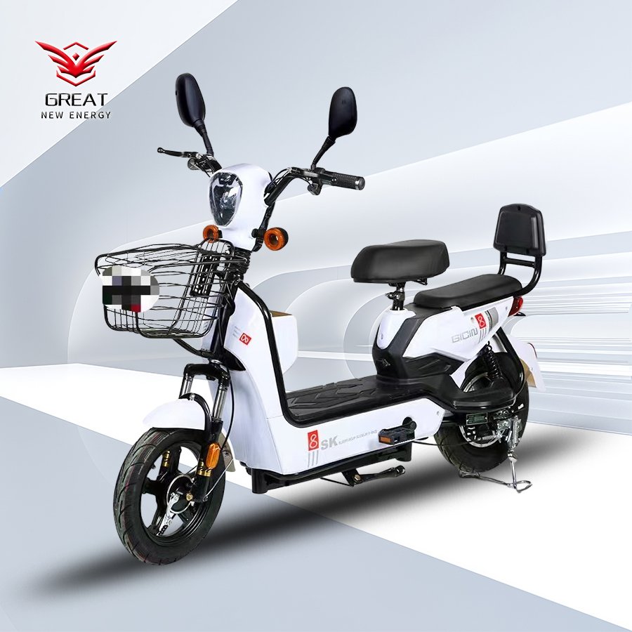 High Quality Electric Bicycle 350w 48v 12ah 14 Inch Recharging Time Best Ebike City Electric Bike For Adults E Bike