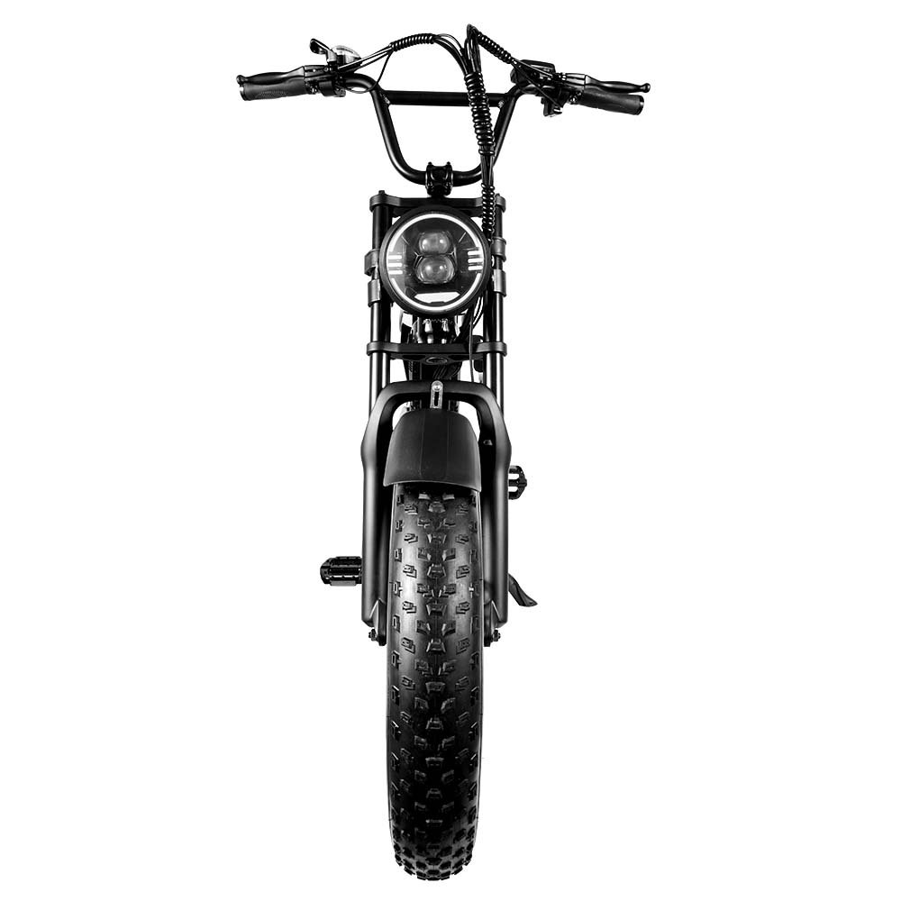 EU Mountain Bike Fat Tire Electric Bike 48V 250W Motor 15AH Battery E Bikes 25KM/H With Controller