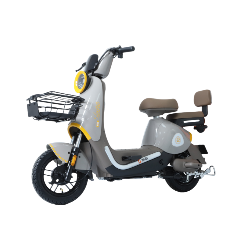 Electric Scooter Supplier 350W Electric Bicycle Remote Electric Bicycle