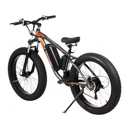 350/500/750/1000W