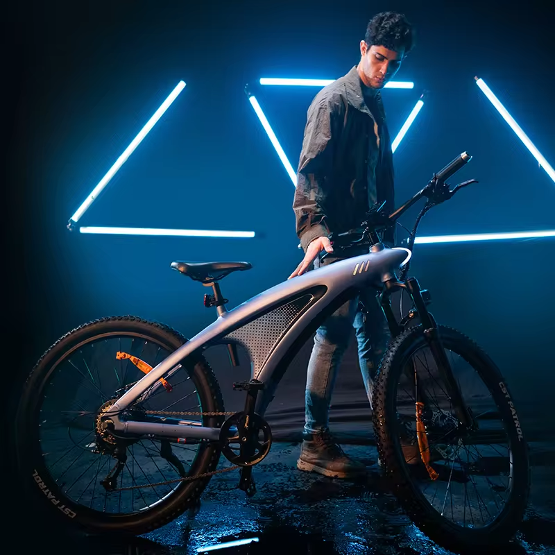 KIXIN new style rear motor drive powerful electric bicycles 650w 750w 1000w 9 speed electronic bike city electric mountain bike