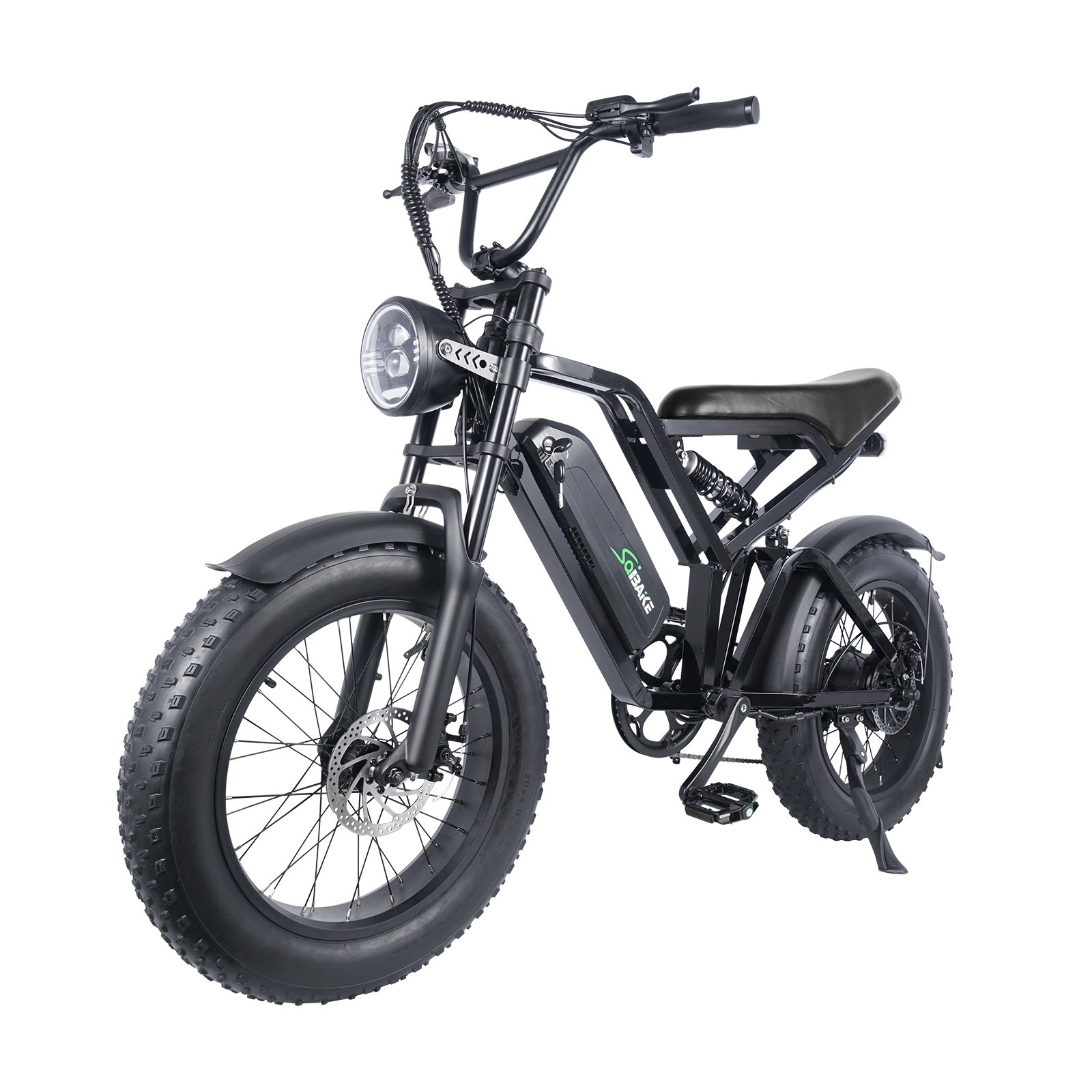 Dropshipping 48v 250w 750w 1000w Velo Electrique Retro Dirt Road E Bike Ebike Mountain Fat Tire Bicycle Electric Bike