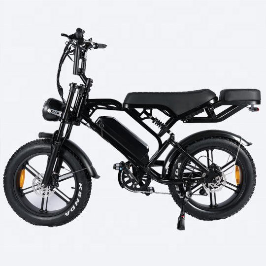 V20 fat-bike 20"*4.0 Fatbike electric Fat ebike 2 seat 48v 15ah bicycle electric bicycle fast V20 electric mountain bike