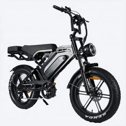 V20 fat-bike 20"*4.0 Fatbike electric Fat ebike 2 seat 48v 15ah bicycle electric bicycle fast V20 electric mountain bike