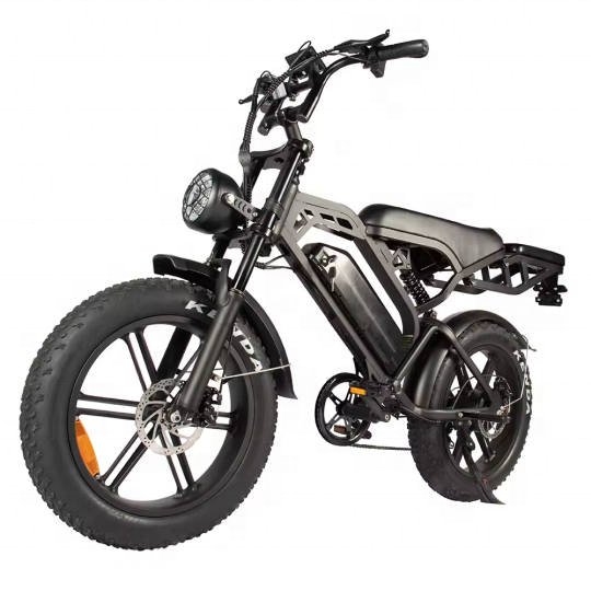 V20 fat-bike 20"*4.0 Fatbike electric Fat ebike 2 seat 48v 15ah bicycle electric bicycle fast V20 electric mountain bike