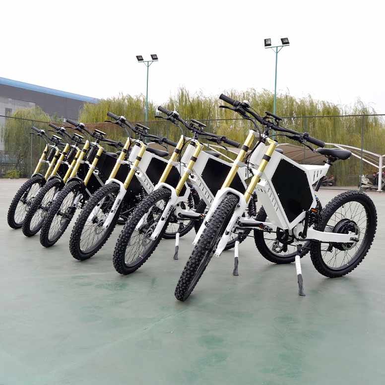 72V 56Ah 60Ah 70Ah 15000W Ebike 72V 45Ah 12000W E Bike Electric Bicycle Other Electric Bike For Adult