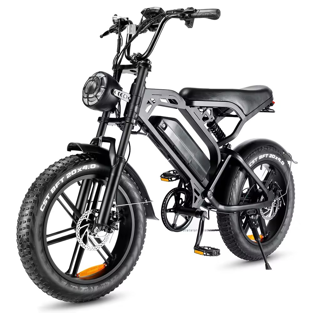 EU UK US Poland Warehouse Bicicleta Electrica Retro Ebike 1000w 48v 15ah 30ah Dual Battery Electric Bicycle Electric City Bike