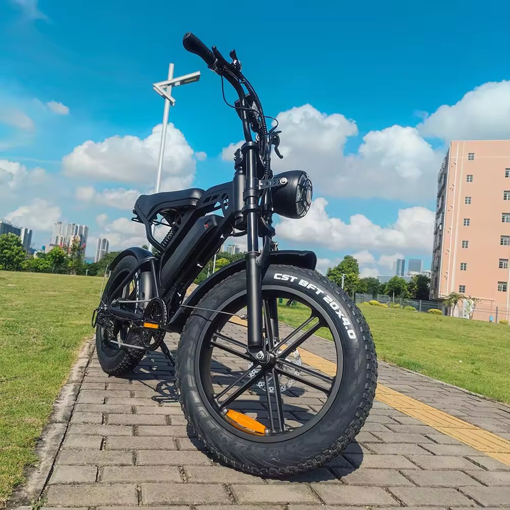EU UK US Poland Warehouse Bicicleta Electrica Retro Ebike 1000w 48v 15ah 30ah Dual Battery Electric Bicycle Electric City Bike
