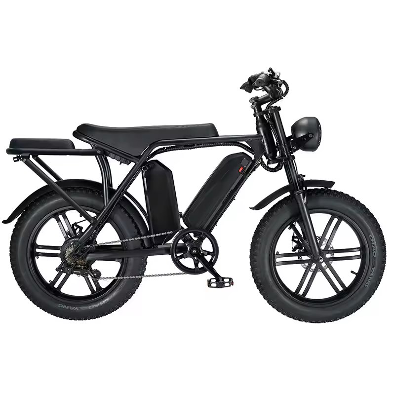 EU UK US Poland Warehouse Bicicleta Electrica Retro Ebike 1000w 48v 15ah 30ah Dual Battery Electric Bicycle Electric City Bike