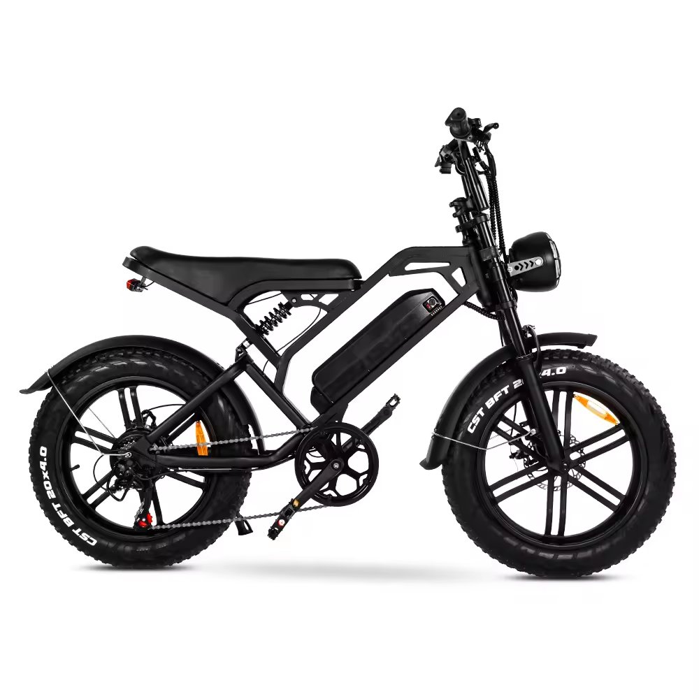 EU UK US Poland Warehouse Bicicleta Electrica Retro Ebike 1000w 48v 15ah 30ah Dual Battery Electric Bicycle Electric City Bike
