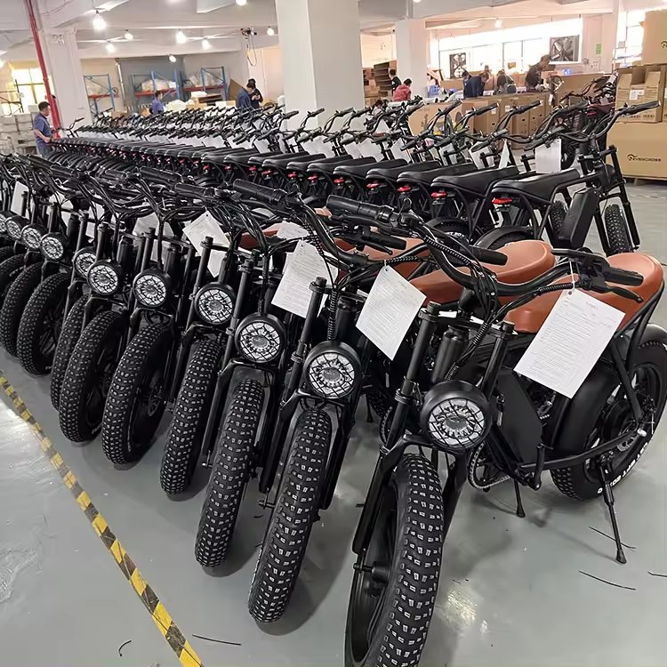 EU UK US Poland Warehouse Bicicleta Electrica Retro Ebike 1000w 48v 15ah 30ah Dual Battery Electric Bicycle Electric City Bike