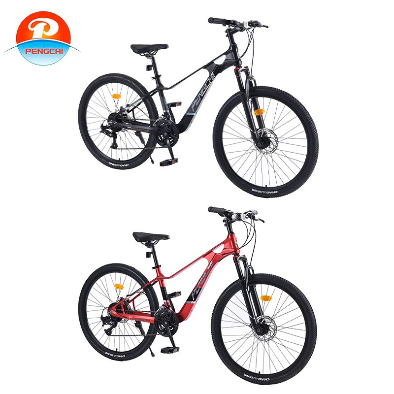 High quality 26 inch 21 speed adult Bike unisex magnesium alloy integrated frame biccletas city bike MTB road OEM mountain bike