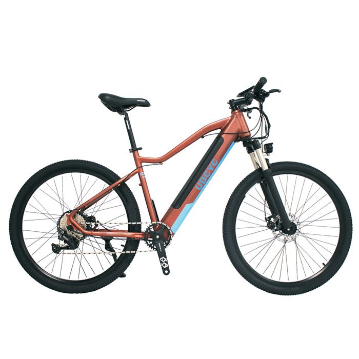 Cheap e-bikes 1000 w electric bicycle 48 V Motor e bike conversion kit Bike Electric Mountain Bike high quality for sale