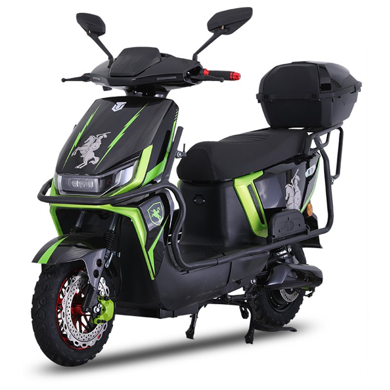 CHINA Paige 60v1000w brushless motor e bike city electric bicycle 2 wheels 12 tube ultra quiet controller e-bike with robot