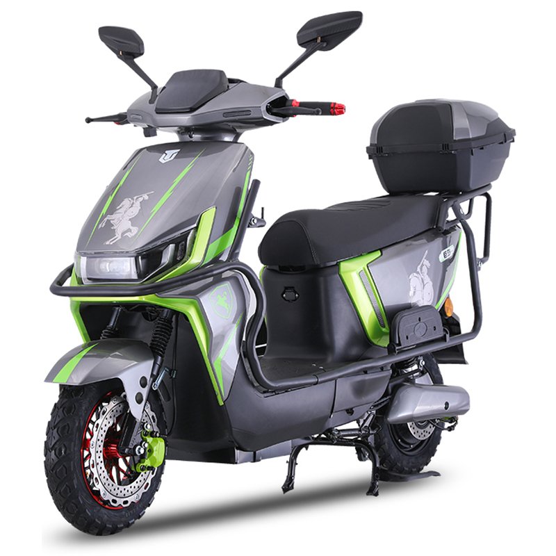 CHINA Paige 60v1000w brushless motor e bike city electric bicycle 2 wheels 12 tube ultra quiet controller e-bike with robot