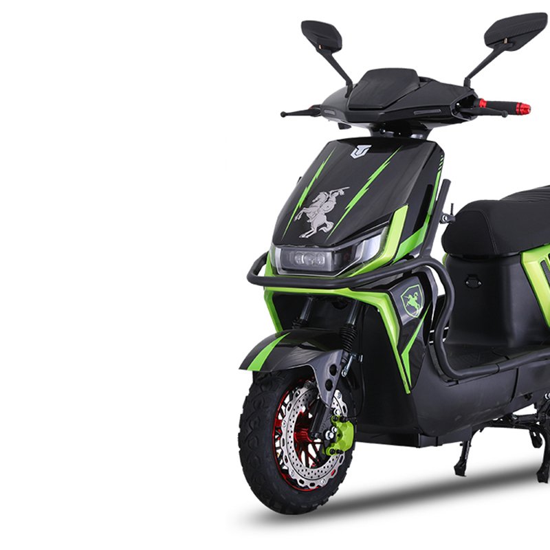 CHINA Paige 60v1000w brushless motor e bike city electric bicycle 2 wheels 12 tube ultra quiet controller e-bike with robot