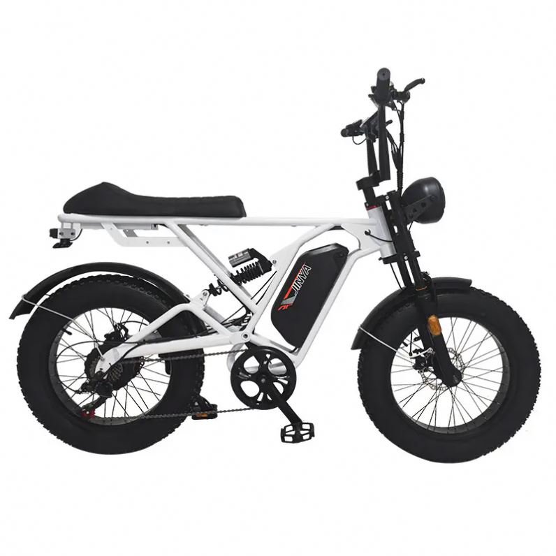 E Bike 1000w 48v beach cruiser Bike Fat Electric Mountain Bike 26inch Road Electric Bicycle Long Range For Adult