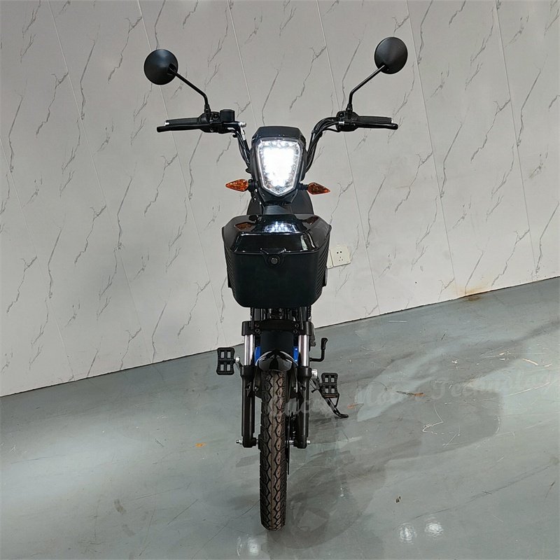 Lithium li-ion battery 500w 48v 800w other ebike electric city bike for Ecuador Grillo USA Mexico