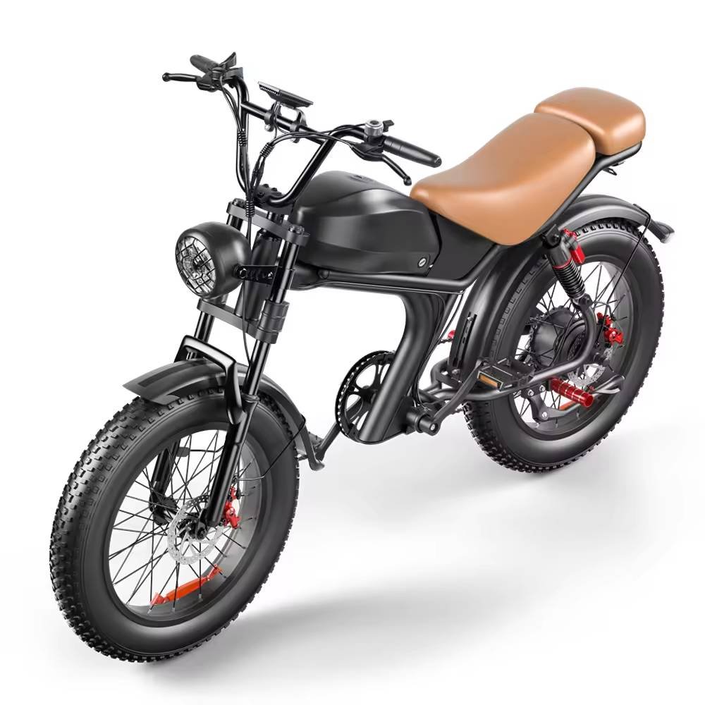 High Speed Mountain Electric Bike 1000w 48V 20inch off Road Electric Bike Electric City Bike