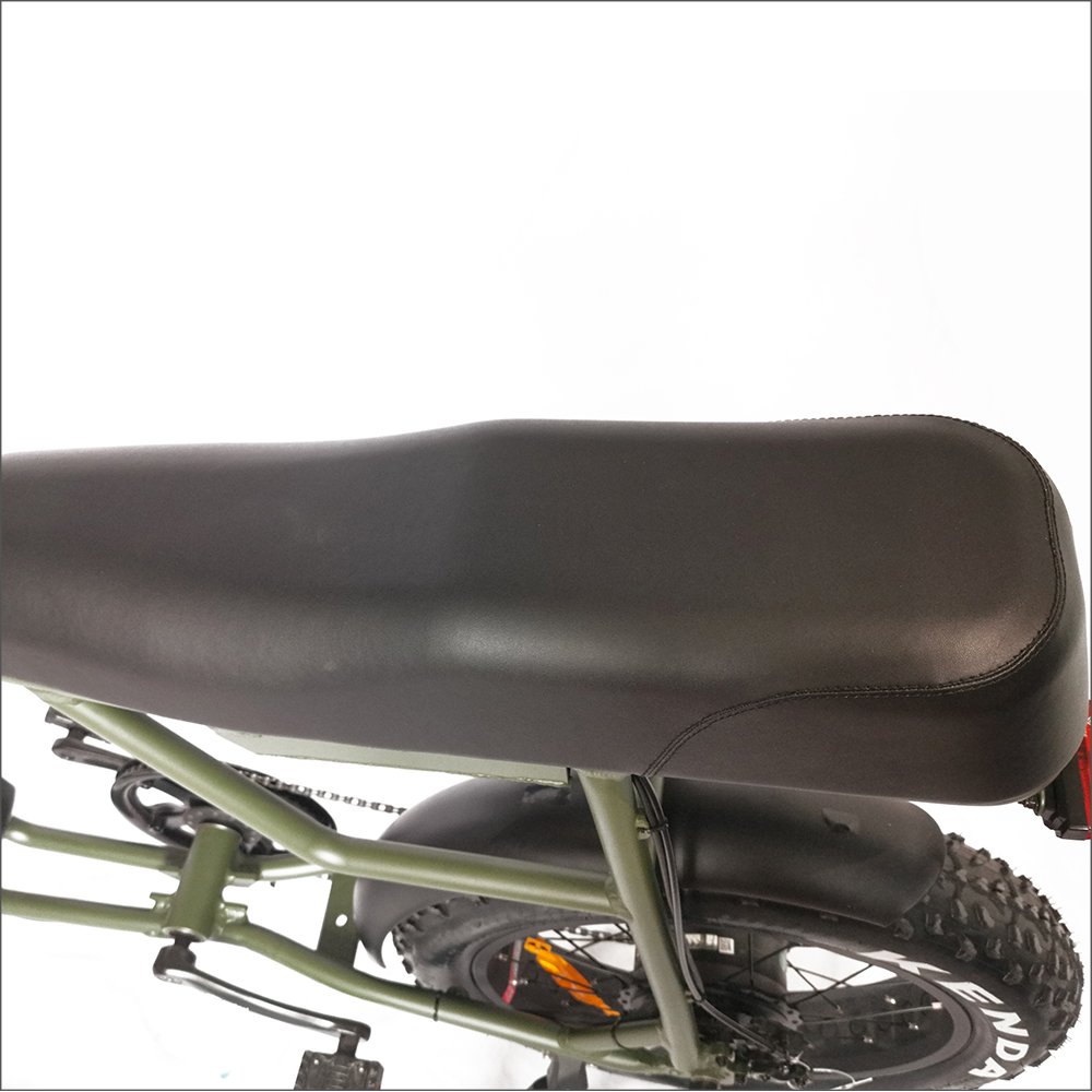 EZREAL cheap electric bicycle mountain bike harley motor ebike with Bafang 48V 750W rear motor