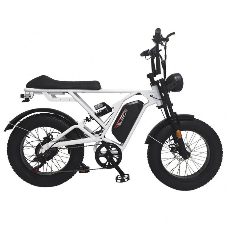 Direct Factory e-bikes Full Suspension Electric Mountain city Bike 48v 1000w electric fat tire bikes adults