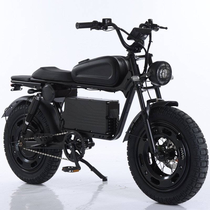 Fat Tire Electric Mountain Bike 500W 48V 25Ah Big Capacity Ebike 20 Inch Long Range 73 Style Electric Bicycle