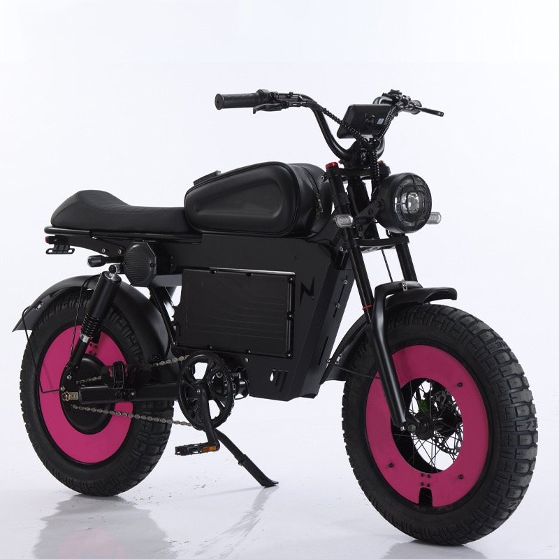 Fat Tire Electric Mountain Bike 500W 48V 25Ah Big Capacity Ebike 20 Inch Long Range 73 Style Electric Bicycle
