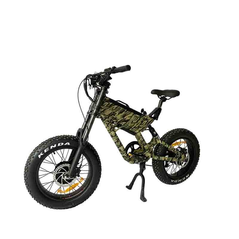 europe warehouse dutch e bike black silver 500W*2 48v ladies assist electric city bike bicycle