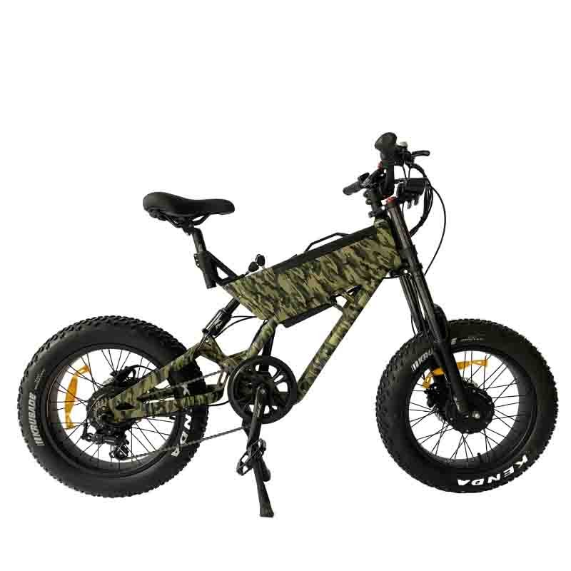 europe warehouse dutch e bike black silver 500W*2 48v ladies assist electric city bike bicycle