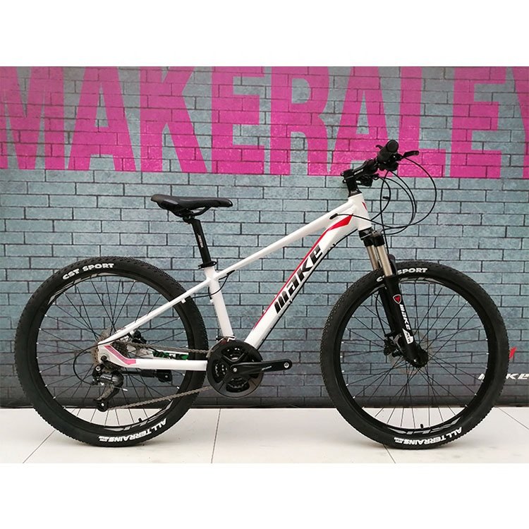 Best selling all aluminum wire lock lock front fork mountain bike