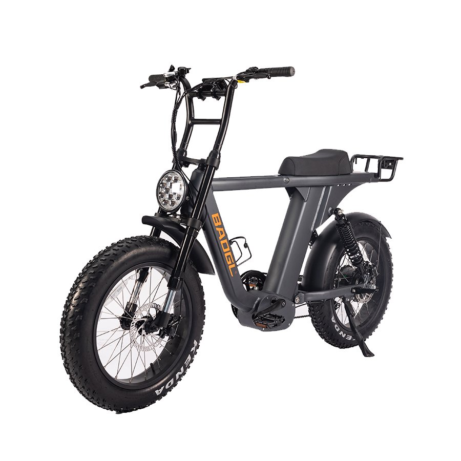 Alu Alloy Frame Hydraulic Disc Brake Ebike With Fat Tire Mountain Ebike Electric Mountain bike