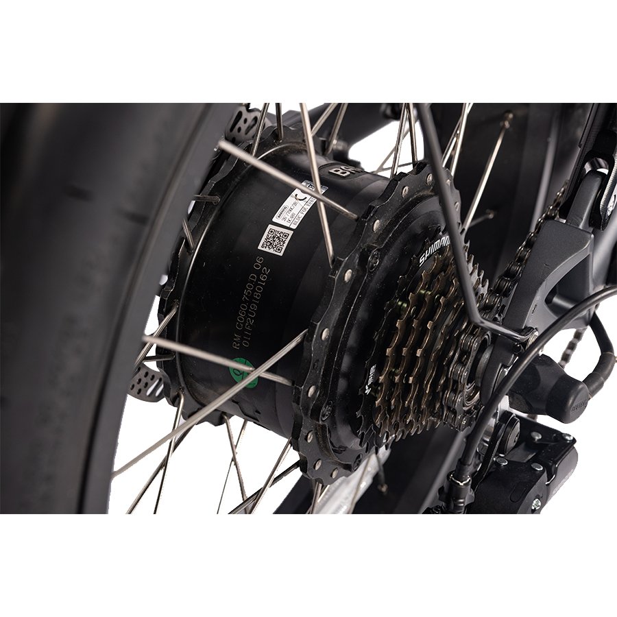 Alu Alloy Frame Hydraulic Disc Brake Ebike With Fat Tire Mountain Ebike Electric Mountain bike