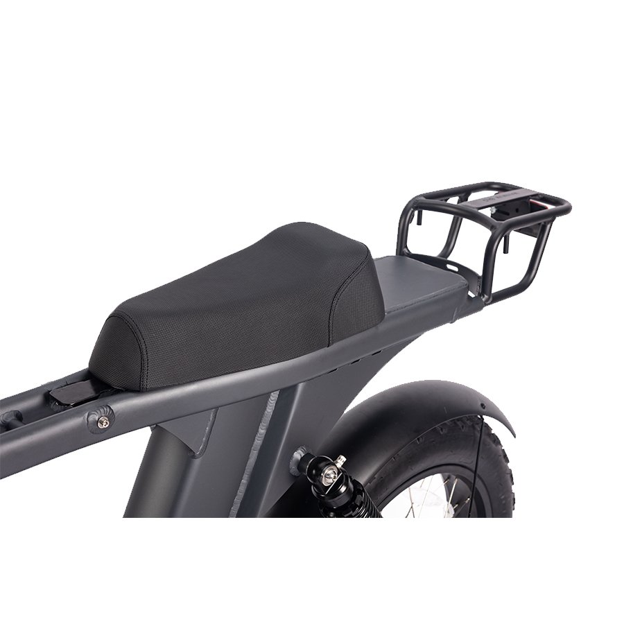 Alu Alloy Frame Hydraulic Disc Brake Ebike With Fat Tire Mountain Ebike Electric Mountain bike