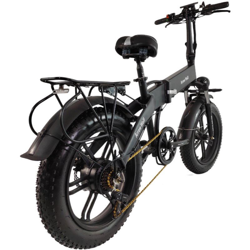Phoenix Electric Bicycle Motor Aluminum Alloy Electric Mountain Bike Electric Mountain Bike