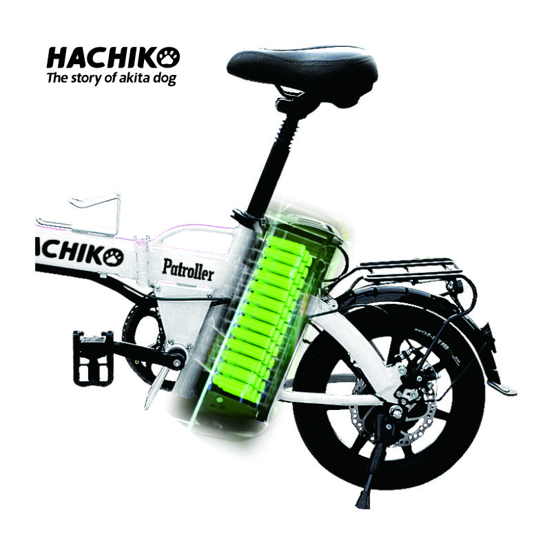 Classical electric folding bike 48V 12Ah long range 300W powerful electric city bike for adult