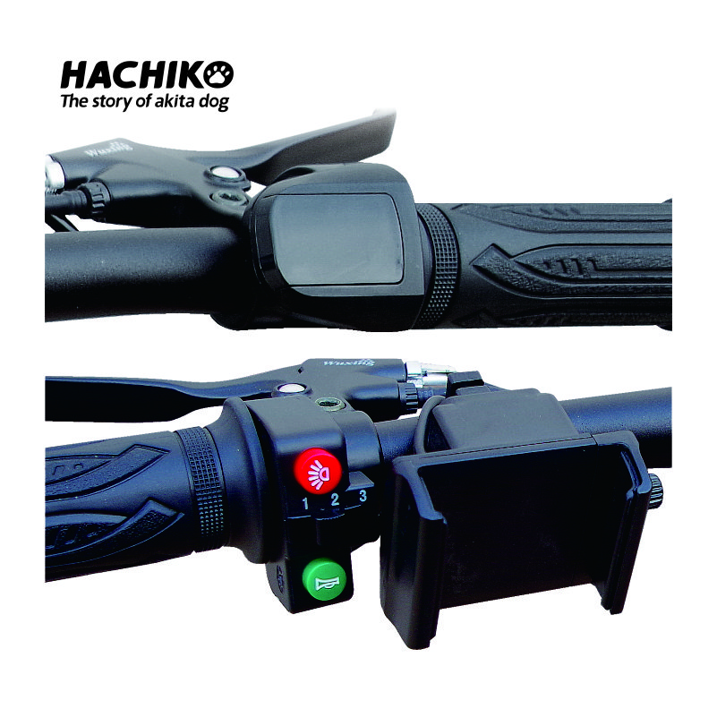 Classical electric folding bike 48V 12Ah long range 300W powerful electric city bike for adult