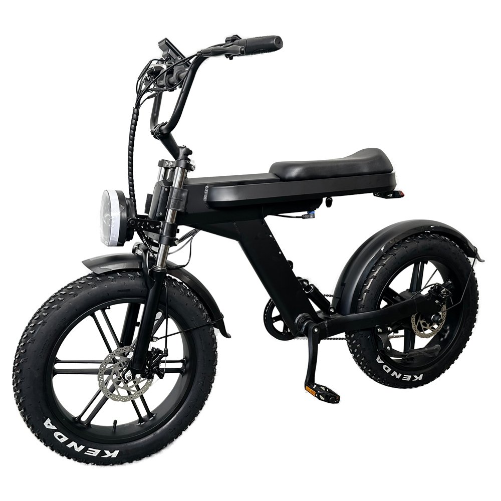 Electric Bike 2024 Newest 20inch EU Warehouse 48V15AH 750W Motor Full Suspension Unique Design Electric Mountain Bike