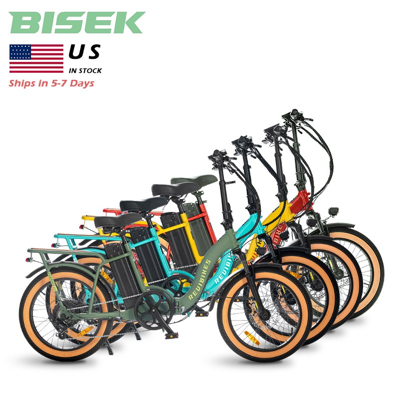 OEM Popular 500W/750W Electric Folding Bike with 48V Lithium Battery Powerful Rear Rack for Delivery Electric City Bicycle