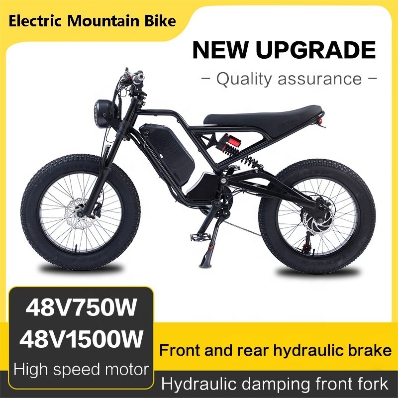 High Configurated Akez Cafe Racer Electric Dirt Pit Mountain E Bike 1500W Fat Tires Ebike Electric Cruiser Adult