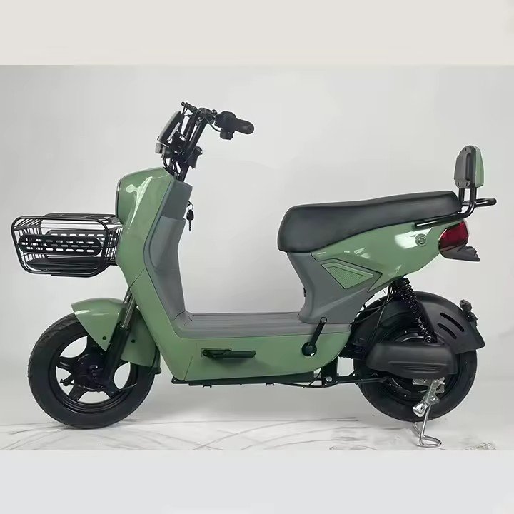 Factory price long range E-bike customized Multi-Colored Strong Endurance Electric Vehicle