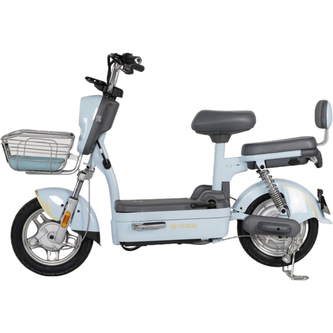 Direct Selling Best City Electric Bike Top Fashion Electric Scooter Ebike Motorcycle 250W/750W Motors Power Battery Electronic