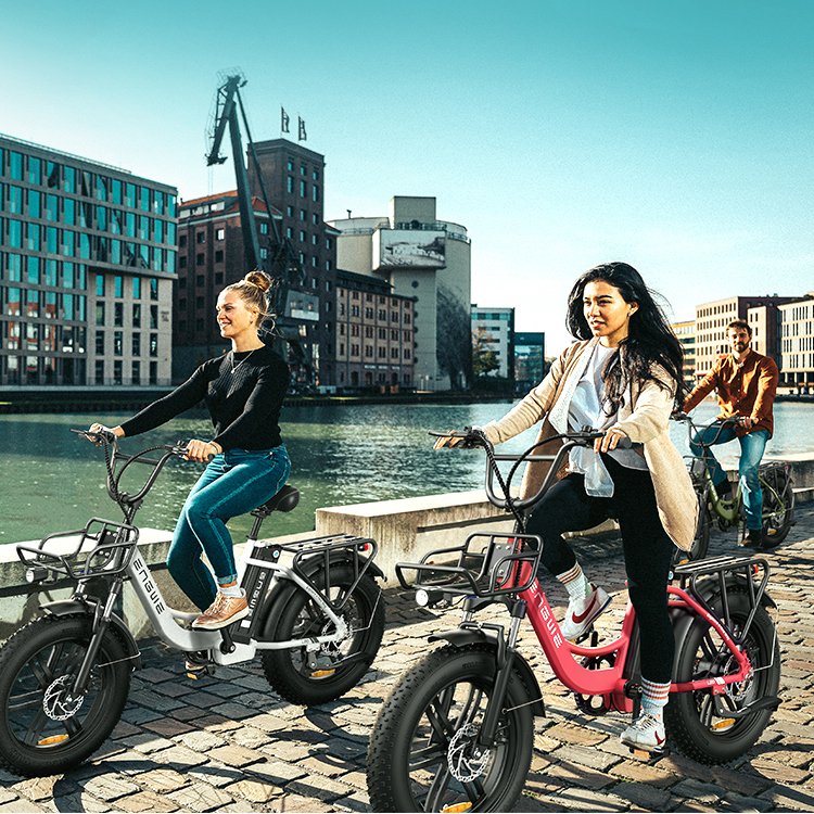 ENGWE L20 EU Stock 250W Electric Fat Bike 48V 13Ah Adult Electric Bike 20 inch Road Bicycle