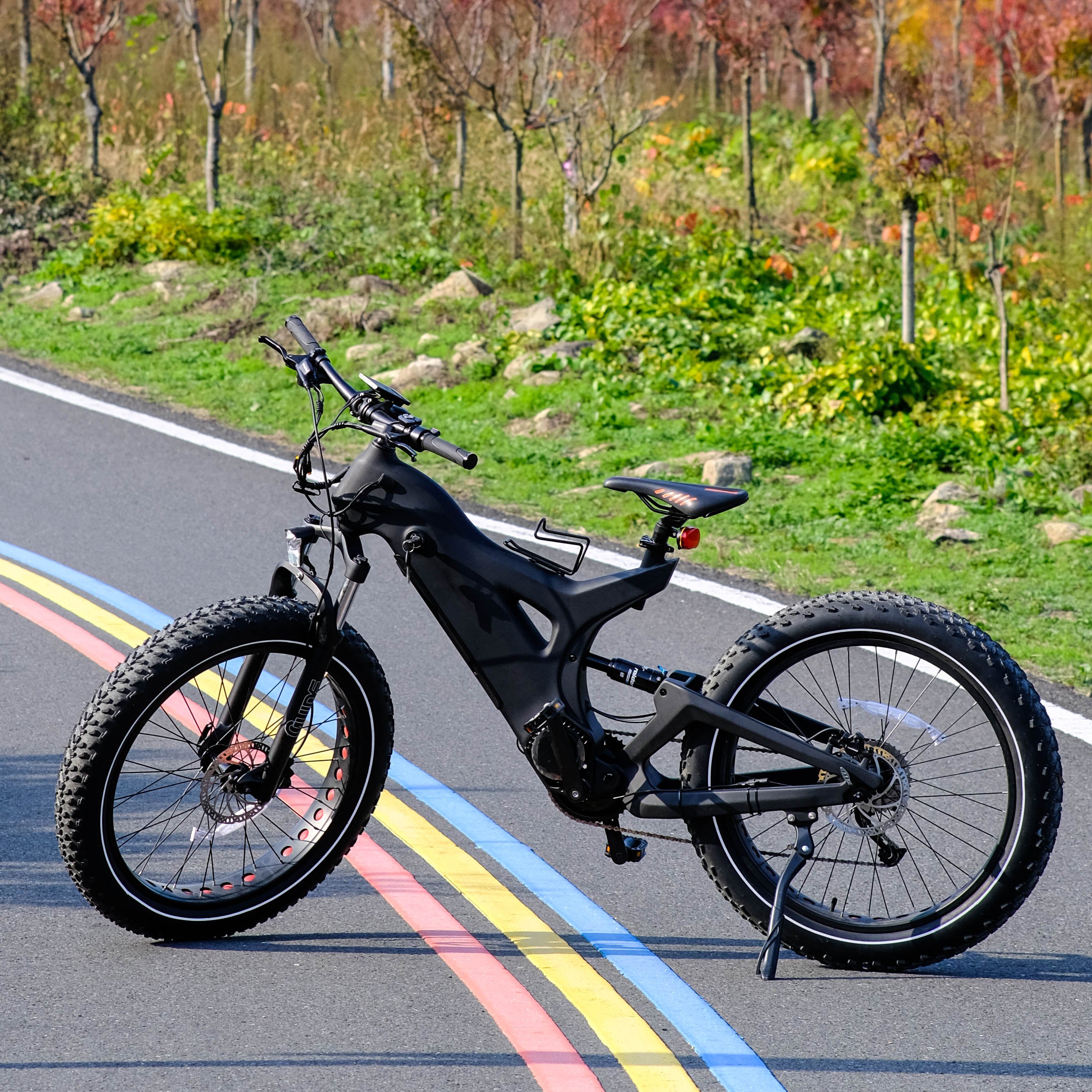 Carbon Fibre Ebike Emtb 1000w Fat Bike Bafang Ultra M620 Mid Drive Electric Mountain Bicycle