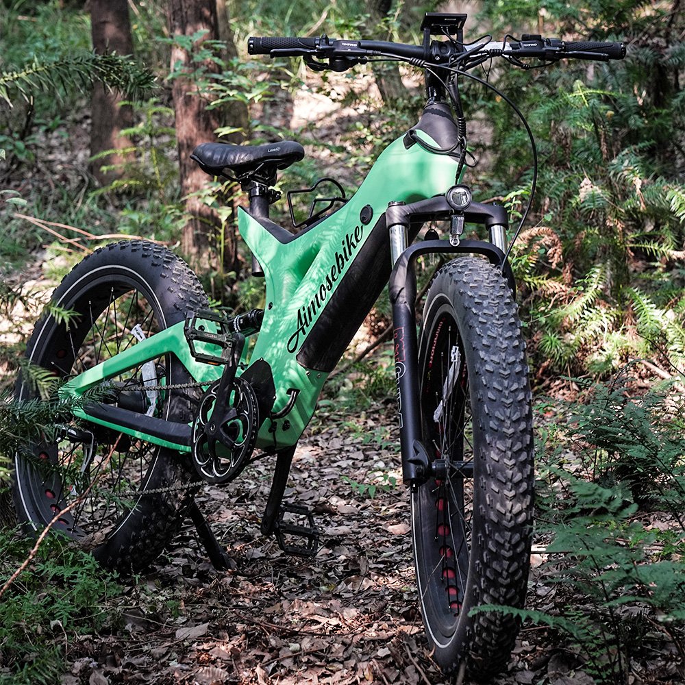 Carbon Fibre Ebike Emtb 1000w Fat Bike Bafang Ultra M620 Mid Drive Electric Mountain Bicycle