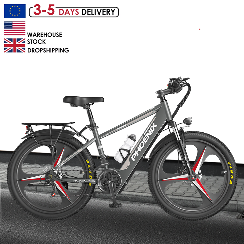 Wholesale Price electric bike mountain bike mountain charger elektro mountain bike